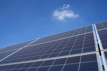Solar panels generate electricity at solar farm.