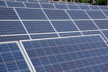 Solar panels generate electricity at solar farm.