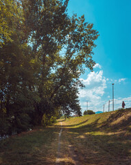 Fototapety na wymiar - Fototapeta24.pl