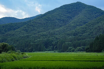 Fototapeta premium 福島県_南会津町_田園風景