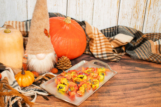 Autumn gnome sitting next to bright pumpkins, plaid blanket, autumn leaves, pinecones, and flowers. Cozy fall composition, seasonal decoration, autumn background