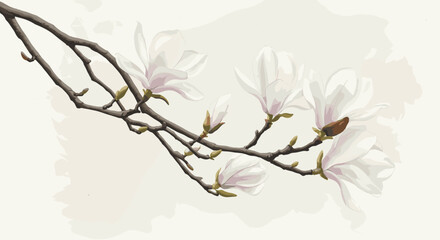 Fototapeta premium Delicate watercolor magnolia blossoms on branch with soft background