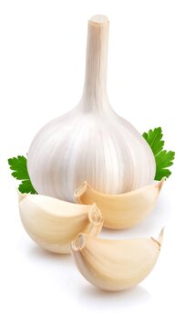 Fresh garlic bulb and cloves