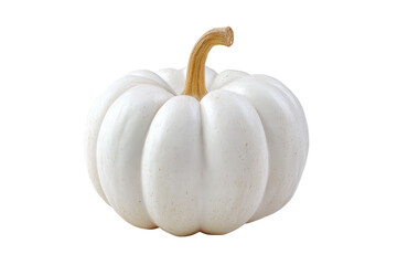 Halloween pumpkin isolated on transparent background