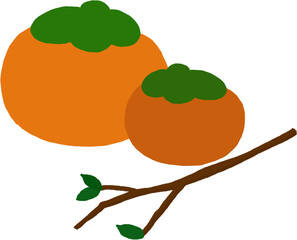 감 persimmon