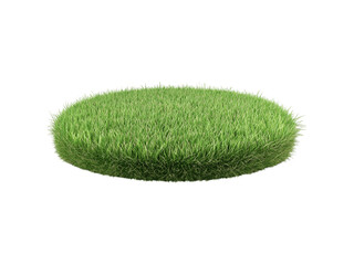 A dense, circular patch of green grass with upright blades