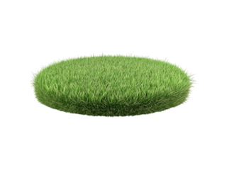 A dense, circular patch of green grass with upright blades