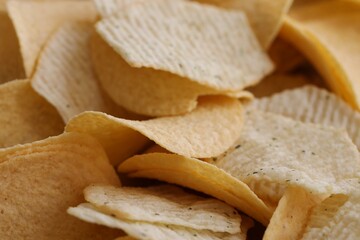 Homemade Flavored Paprika Potato Chips in a Bowl, top view. Flat lay