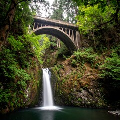 Waterfall beneath a bridge in a lush forest