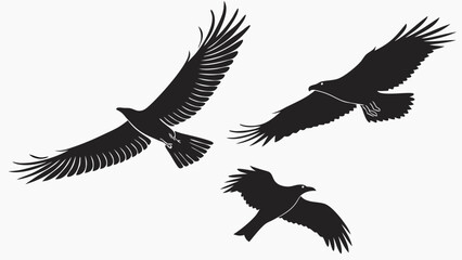 Obraz premium Three black silhouette eagles in flight with wings spread wide against a white background