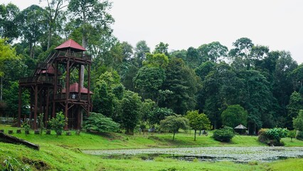 Obraz premium Tropical Lake with Palm Trees and Green Forest Reflections in Nature