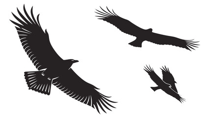 Three black silhouette eagles soaring gracefully through the sky with wings spread wide