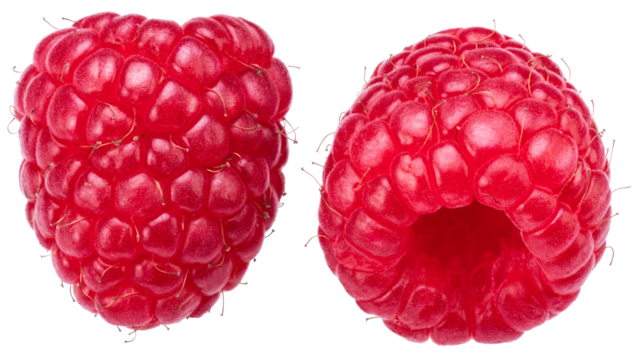 Two raspberries  isolated on a white background. Maximum detail and sharpness across the entire frame. The file has a clipping path.
