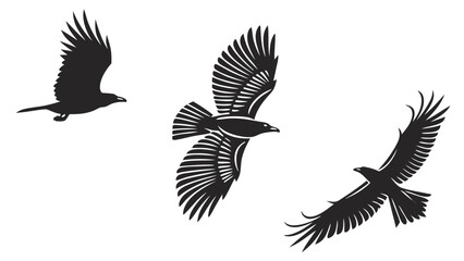 Three silhouetted birds in flight against a white background