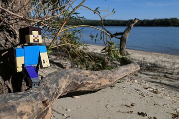 Obraz premium LEGO Minecraft large figure of smiling Steve stepping on dead fallen tree trunk, driftwood on sandy bank of Danube river, borderline of Slovakia and Hungary. Summer daylight sunshine, blue skies. 