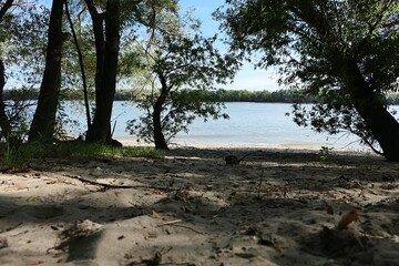 Scenic view of Danube river on border between Slovakia and Hungary, from shadow of broadleaf trees to sandy beach, summer daylight sunshine. 