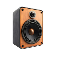 Vintage Speaker Design for Immersive Audio Experience in Professional Environment
