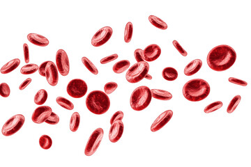 Several red blood cells illustrated floating in the air