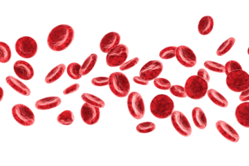 Several red blood cells illustrated floating in the air