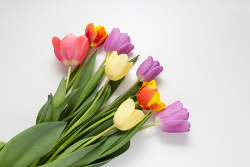 bouquet of multicolored tulips on a white background