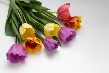 bouquet of multicolored tulips on a white background