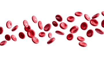 Several red blood cells illustrated floating in the air