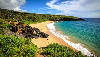 Fototapeta premium A scenic view of a secluded tropical beach with golden sand, turquoise ocean, and a lush green coastline.