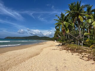 Tropical beach in the Philippines with white sand, turquoise water, and swaying palm trees under blue sky