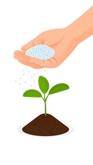 Hand fertilizing a small plant