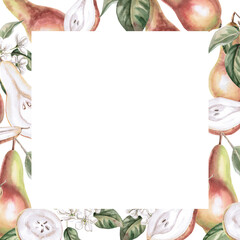 Square frame with whole, halves of pears and flowers. Isolated watercolor illustration of fruits for product line design, kitchenware design, seasonal menu, cards, textiles, clothing printing.