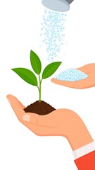 Hand holding small plant being watered