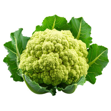 Fresh Green Cauliflower with Leaves, isolated on transparent background&rdquo;