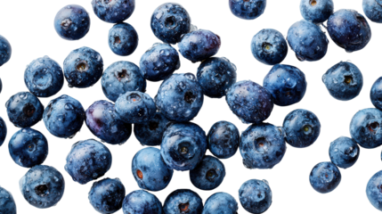Freshly Picked Blueberries: A flat lay of freshly picked blueberries with vibrant blue color, isolated on a Transparent background, PNG file.