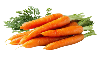 Freshly Picked Carrots: A flat lay of freshly picked carrots with vibrant orange color, isolated on a Transparent background, PNG file.