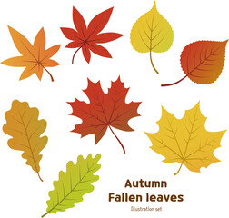 Autumn leaves isolated on white background vector illustration