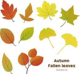 Obraz premium Autumn leaves isolated on white background vector illustration