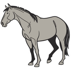 Obraz premium Majestic Horse Illustration