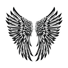 Obraz premium Angel wings vector illustration with black and white feathered wing design isolated on white background