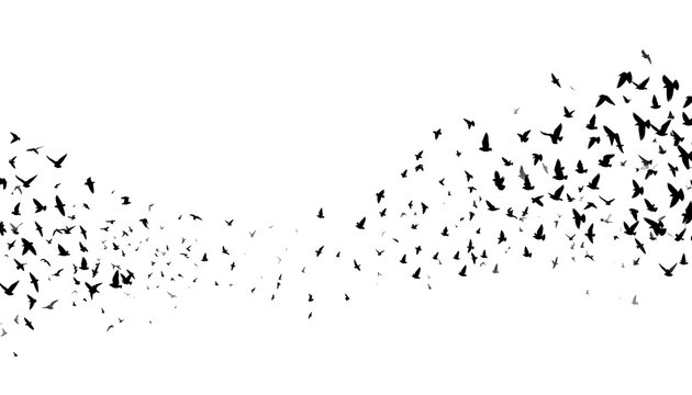 A flock of birds in a chaotic flight