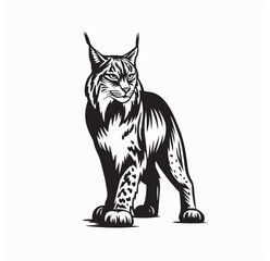 Lynx Animal Standing Proudly
