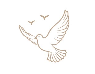 Obraz premium Elegant, light beige dove in flight