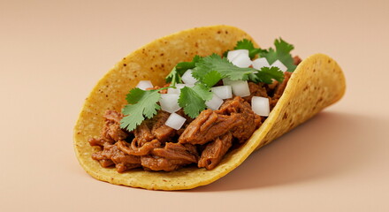Delicious Barbacoa Taco with Cilantro and Onion