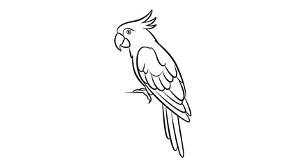 Obraz premium Cockatoo line art drawing vector illustration for coloring page and design elements use 90