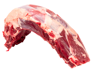 Raw Red Beef Oxtail Isolated on White Background isolated on white background 