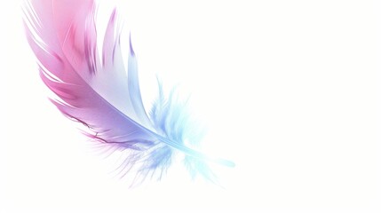 Obraz premium Vibrant Orange Feather with Gradient Colors Isolated on White Background