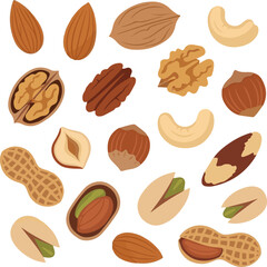 Create a kinds of deferent nut vector art with white background.