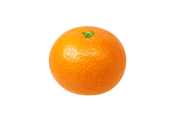 みかん イラスト リアル ミカン