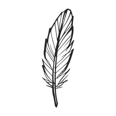 Obraz premium PNG Minimalist black feather illustration.