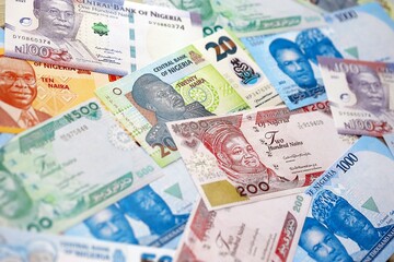 Nigerian naira currency money bills. The current banknotes lies on table in big amount
