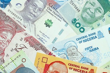 Nigerian naira currency money. The current banknotes lies on table in big amount